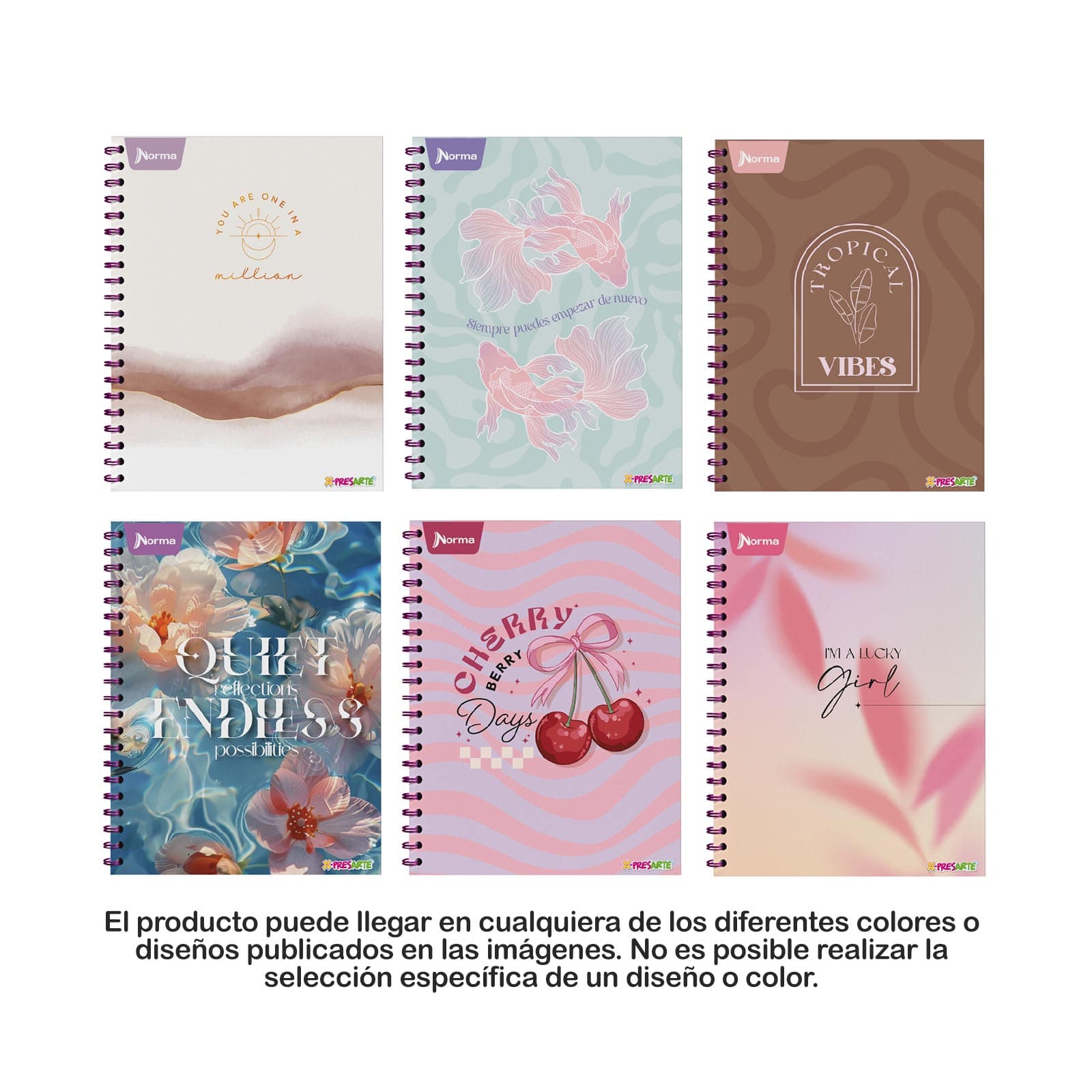Cuaderno 105 Norma Caja x 50